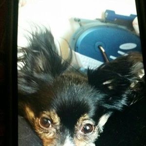 Meet your Posher, Marie-fay